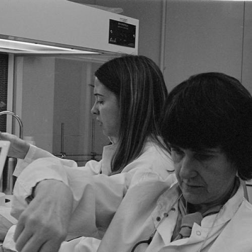 Student Lynn Bolton (left) and Sonia Gitlin studying hail samples in a laboratory.