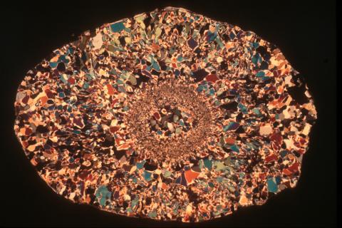 Hailstone cross-section